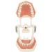 High-Quality 32 Teeth Dentist Typodont Model with Soft Gums | Perfect for Dental Training & Research | Verdant Touch - Buy Online on GoSupps.com