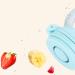 Buy 2-Pack Baby Food Dispenser Pacifiers - Soft Silicone Exercise Coordination Comfortable Handle Dust Protection - Ideal for 4 Months+ - Available in Two Colors - Buy Online on GoSupps.com