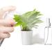 6 x 100ml Refillable Fine Spray Bottles - Transparent Plastic Atomizer for Travel Cosmetics & Kitchen - Buy Online on GoSupps.com