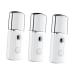 Healeved 3 Pcs Steamer Acondicionador Creative Nano Mist Sprayer Lociones Para Mujer Electric Sprayer White