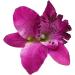 Orchid Flower Hair Clip - New Bridal Wedding Orchid Flower Hair Clip Barrette Women Girls Accessories 1pcs Purple - Buy Online on GoSupps.com