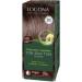 Logona Herbal Hair Color Powder 060 Nut Brown 33312 - Buy Online on GoSupps.com