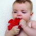 Poppies Red Rocket BPA-Free Silicone Suction Teether & Bath Toy - Buy Online on GoSupps.com
