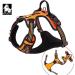 Truelove No Pull Dog Harness - Reflective Adjustable & Soft Padded Vest with Handle TLH56512M (Orange) | Best for Comfortable Walks - Buy Online on GoSupps.com