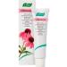 A.Vogel A.Vogel Echinacea Cream | Daily Natural Moisturizing | Fresh Active Ingredients | Swiss Organic Farming | 30 grams