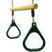 HUAWELL Wooden Trapeze with Plastic Gym Rings - 2 in 1 Swing Set for Kids - Green - Buy Online on GoSupps.com