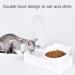 Marchul Tilted Gravity Water and Food Bowls for Cats and Dogs - Set of 2 - Buy Online on GoSupps.com