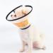 Adjustable Pet Cone Collar for Large Dogs | Lightweight Elizabethan Protective Collar (43.5-50CM) - Shop Now! - Buy Online on GoSupps.com