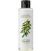 Nature's Absolutes Olive Carrier Oil 200ml - Premium Quality for Skincare & Haircare | International Shipping - Buy Online on GoSupps.com