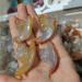 Natural Crystal Rough Natural Quartz Crystal 1pcs Natural Agate Snail Agate playthings Small Stones and Crystals Crystals Home Office Decor - Buy Online on GoSupps.com