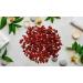 Anardana Seeds Sukha-Pomegranate Dry Seed-Raw Herbs-Punica Granatum Anaar dana-Anar-Jadi Booti-Single Herbs (100 Gram) - Buy Online on GoSupps.com