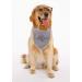 Unique Style Paws Adjustable Washable Cotton Dog Towel - Black Plaid for Small & Medium Dogs & Cats - Buy Online on GoSupps.com