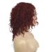 SHIYID Women's Medium Kinky Curly Red Wig - Natural Synthetic Full Wig for African American Style - Buy Online on GoSupps.com