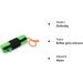 Buy Mystique Snack Dummy Food - Large Reflex Green/Black | Ideal for Training & Play - Buy Online on GoSupps.com