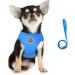 Femax Breakproof Cat Dishes & Adjustable Soft Mesh Dog Harness with Leash - XS for Small Dogs & Cats (26-29 cm) - Reflective Azure - Buy Online on GoSupps.com