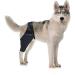 Angoily Knee Pads Dog Acl Dogs Knee Dog Leg Cover Pet Injury Supply Bracket Hind Legs Puppy S As Shown - Buy Online on GoSupps.com
