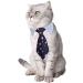 Pets Dog Cat Bowtie Set - Adjustable Formal Necktie Collar for Cats & Small Dogs - Grooming Accessories in Pink/Black - 4 Pieces - Buy Online on GoSupps.com