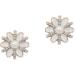 CLSSLVVBN 2 Pieces Hairpin Elegant Headdress Shiny Rhinestones Delicate Pearl Flower Buckle Hair Accessories for Wedding Pearl Snowflake - Buy Online on GoSupps.com