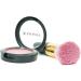 SHANY Paraben Free Powder Blush Joy - Buy Online on GoSupps.com