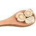 Adenophora Root Adenophora Stricta Straight Ladybell Root Radix Adenophorae Strictae Coastal Glehnia Root Sha Shen (32 oz) - Buy Online on GoSupps.com