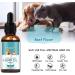 The PawStore 100% Natural Organic Hemp Oil for Pet Dogs and Cats Anxiety Flavor Nutty - Buy Online on GoSupps.com