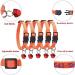 Personalized Cat Neck Bands with Bell - Custom Safety Buckle & Embroidered ID for Kittens - Orange - Buy Online on GoSupps.com
