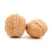 Buy Premium Walnuts in Shell (5kg) - New Harvest 2022 | Extra Large Cores | 100% Natural | Vegan & Gluten-Free | Origin: Chile - Chandler Variety - Buy Online on GoSupps.com