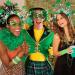 Fashband Light Up St.Patrick's Day Headband LED Green Shamrock Headbands Irish Clover Hair Hoop Hair Accessories for Women - Buy Online on GoSupps.com