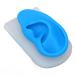 Silicone Ear Model - Transparent and Blue - Flexible for Piercing Practice - Buy Online on GoSupps.com