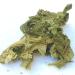 ALGENLADEN Organic Sea Lettuce Leaves 25g - Premium Raw Vegan Green Algae from the Atlantic | Healthy Superfood - Buy Online on GoSupps.com
