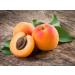 Organic Apricot Kernel Oil - 100% Pure Cold Pressed Unrefined Raw - Therapeutic Grade for Massage, Skin, Hair - 16 OZ Quart Bulk - Buy Online on GoSupps.com