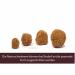 Menstrual Sponges - 4 Unbleached Eco-Friendly Pieces with Needle & Cotton Cord | Alternative to Pads & Tampons | Aristos - Buy Online on GoSupps.com