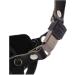 Dingo Gear Rubberized Metal Muzzle for Boxers | Comfortable & Universal for Long Walks | S03044 - Buy Online on GoSupps.com