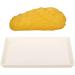 Human Fat Model Human Fat Replica 1 Lb Human Adipose Tissue Demonstration Model for Curriculum and Student Exercises - Buy Online on GoSupps.com