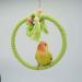 2 PCS Kuivoo Bird Swing Cotton Rope Ring Bird Parrot Perches for Cage Cage Hanging Bite Resistance Toys Bird Stand Soft Ring Bed for Budgie Cockatiel Canary Parakeet Love-bird Conures Medium - Buy Online on GoSupps.com