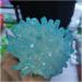 1pcs 300-700g Natural Crystal Cluster Electroplated Yellow Crystal Cluster Reiki Stone Crystal Tip House Decorative Home Collections (Size : 400-500g) - Buy Online on GoSupps.com