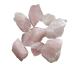 100g Natural Rough Pink Crystal Stone Rose Quartz Minerals Specimen Crystal Real Crystal Stone and Fish Tank Decor Home Goods 2-4cm Red