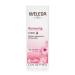 Weleda Renewing Face Lotion 1 Fluid Ounce - Plant Rich Moisturizer with Wild Rose, Jojoba, & Peach Kernel Oils - Buy Online on GoSupps.com