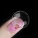 Buy ANCLLO Nail Art Stamper - Clear Silicone Stamping Jelly with Scraper | Perfect for DIY Nail Designs - International Shipping Available - Buy Online on GoSupps.com