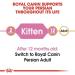 Royal Canin Persian Kitten Cat Food 2kg 2 kg (Pack of 1) - Buy Online on GoSupps.com