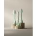 SURI Recyclable Plant-Based Electric Toothbrush Heads with Tongue Scraper - Long Lasting Replacement for SURI Sonic Toothbrush - Winter Fern 3-Pack - Buy Online on GoSupps.com