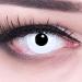 Funnylene colored white contact lenses with strength -2.50 contact lenses Crazy Contact Lenses White Out White 1 pair.With lentil tank!Perfect for Halloween Carnival and Carnival ...