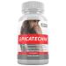 EPICATECHIN - 60 Capsules 300mg Per Serving by Body Essentials Maximize Muscle Growth Increase Protein Synthesis Gains Lean Muscle Increase Strength and Decrease Body Fat