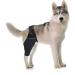 Sosoport Dog Leg Knee Elbow Cat Canine Carpal Dog Foreleg Brace Dog Nose Balm Splint Mesh Fabric Puppy XL As Shown - Buy Online on GoSupps.com