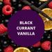 Black Canyon Black Currant Vanilla Scented Body Balm with Jojoba Oil 16 Oz (2 Pack) - Buy Online on GoSupps.com