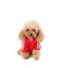 Dog Sweater for Small Dogs Dog Hoodie Pet Puppy Cat Cute Cotton Warm Hoodies Coat Pullover XS red