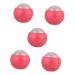 Healeved 5pcs Handheld Massage Ball Facial Tools Body Massager Massage Tools Roller Ball Massaging Trigger Point Massage Roller Face Stuff Ice Roller Fitness Foot Supplies Stainless Steel
