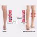 2 Pair Compression Socks Plantar Fasciitis Arch Support Foot Skin Protection Stockings S-M Beige - Buy Online on GoSupps.com