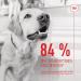 ROYAL CANIN Digestion Chews Adult Supplements | 160 g | Supplementary Feed for Adult Dogs | To Support Digestion & Intestinal Flora | Scientifically Developed - Buy Online on GoSupps.com