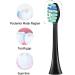 Philips Sonicare Compatible Toothbrush Replacement Heads - Black - Buy Online on GoSupps.com
